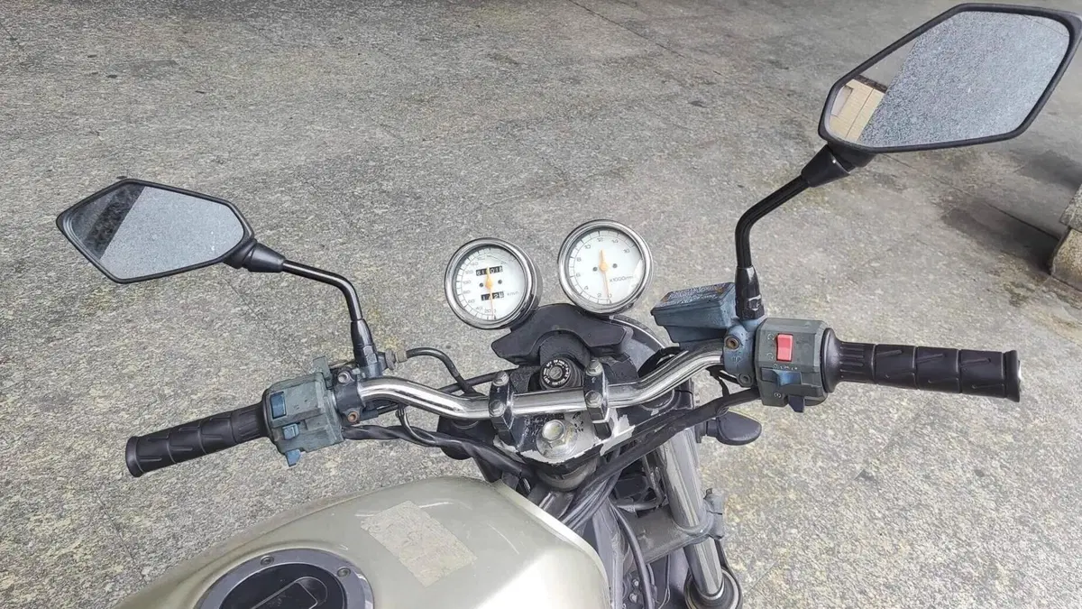 Kawasaki ER-5 500 (2001 - 06)  (6)