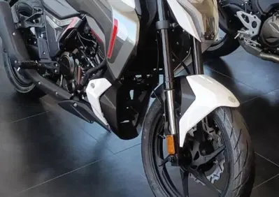 Morbidelli F125 (2025 - 26) - Annuncio 10048617