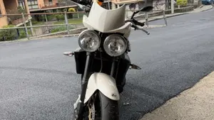 Triumph Speed Triple 1050 (2005 - 11)  (2)
