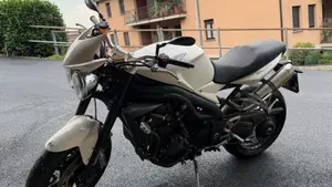 Triumph Speed Triple 1050 (2005 - 11)  (3)