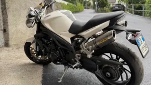 Triumph Speed Triple 1050 (2005 - 11)  (4)