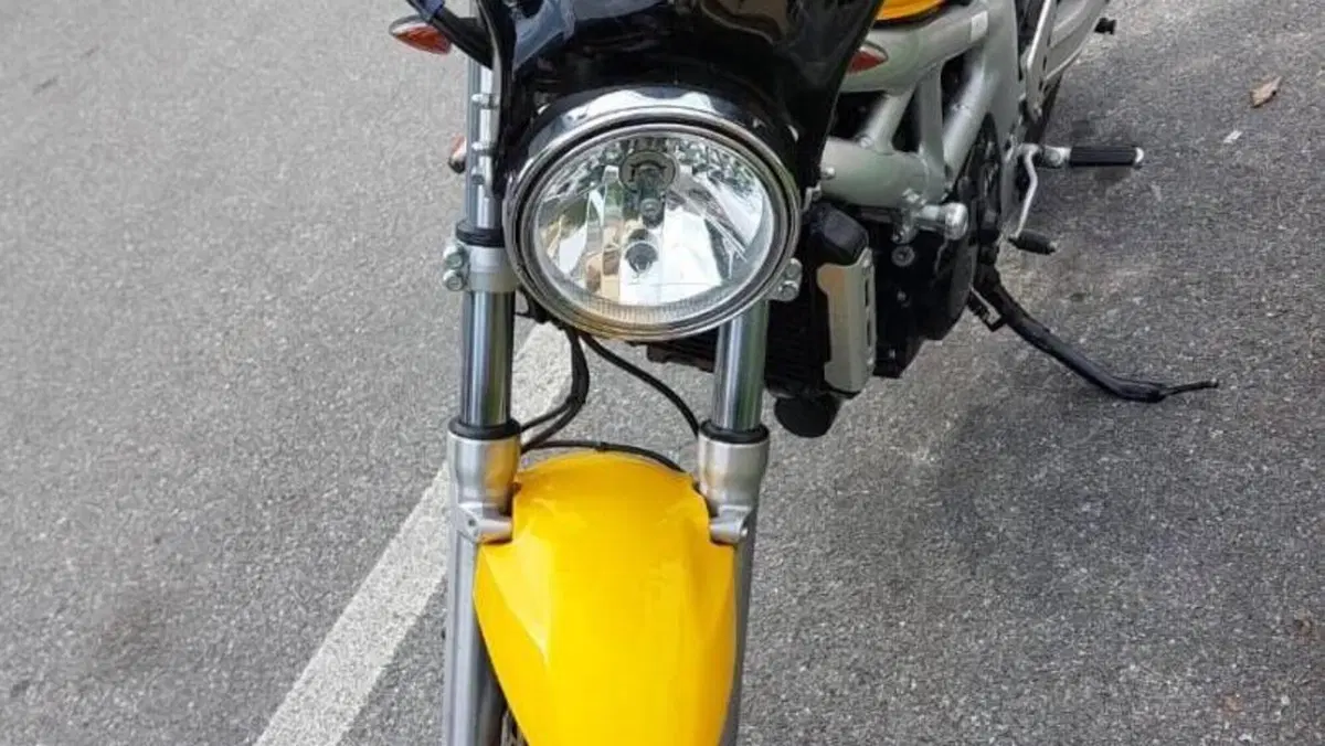 Suzuki SV 650 (1999 - 02)  (4)