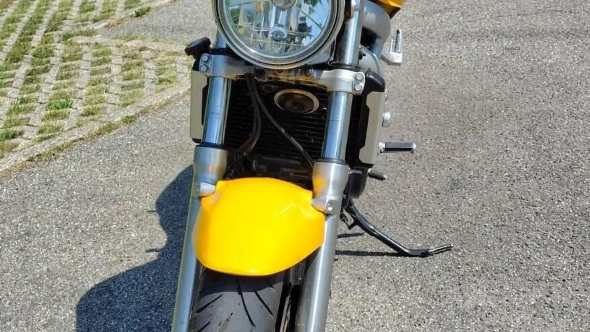 Suzuki SV 650 (1999 - 02)  (5)