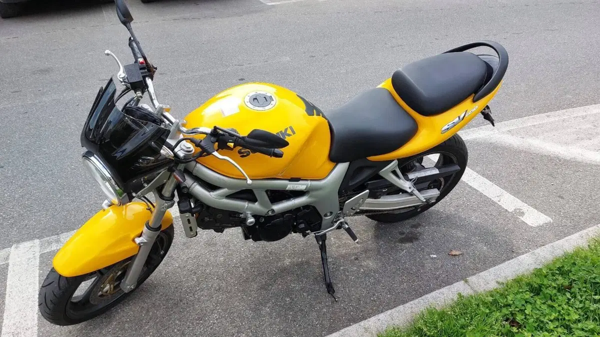 Suzuki SV 650 (1999 - 02)  (6)