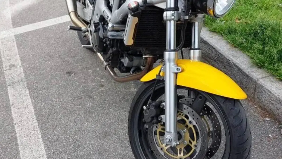 Suzuki SV 650 (1999 - 02)  (7)