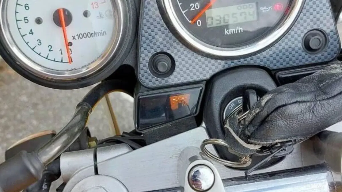 Suzuki SV 650 (1999 - 02)  (11)