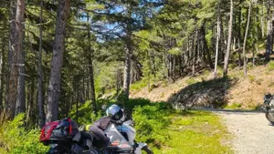 KTM 1290 Super Adventure (2015 - 16)  (3)