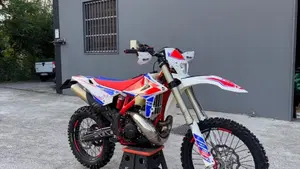 Betamotor RR 300 2T Enduro (2019)  (4)