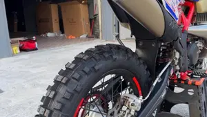 Betamotor RR 300 2T Enduro (2019)  (5)