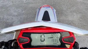 Betamotor RR 300 2T Enduro (2019)  (8)