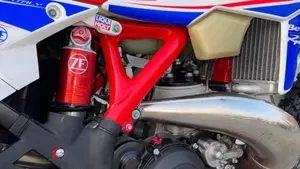 Betamotor RR 300 2T Enduro (2019)  (10)