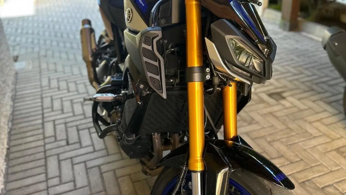 Yamaha MT-09 SP (2018 - 20)  (4)