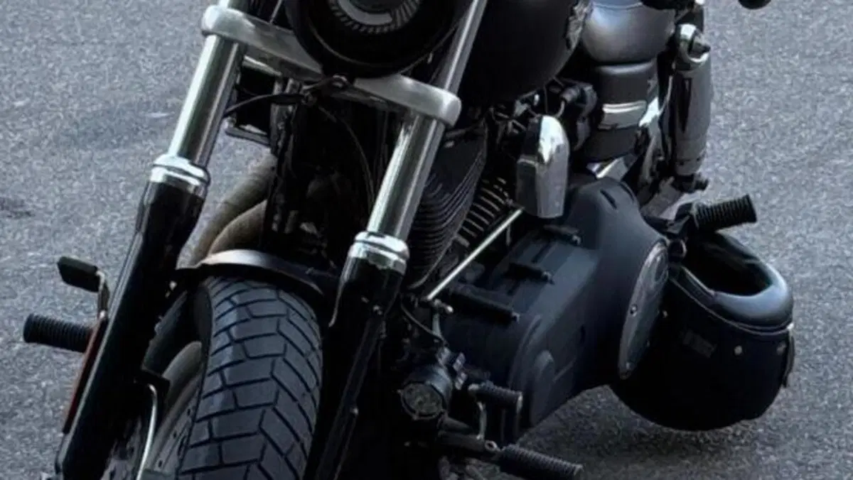 Harley-Davidson 1584 Fat Bob (2007 - 13) - FXDF  (5)