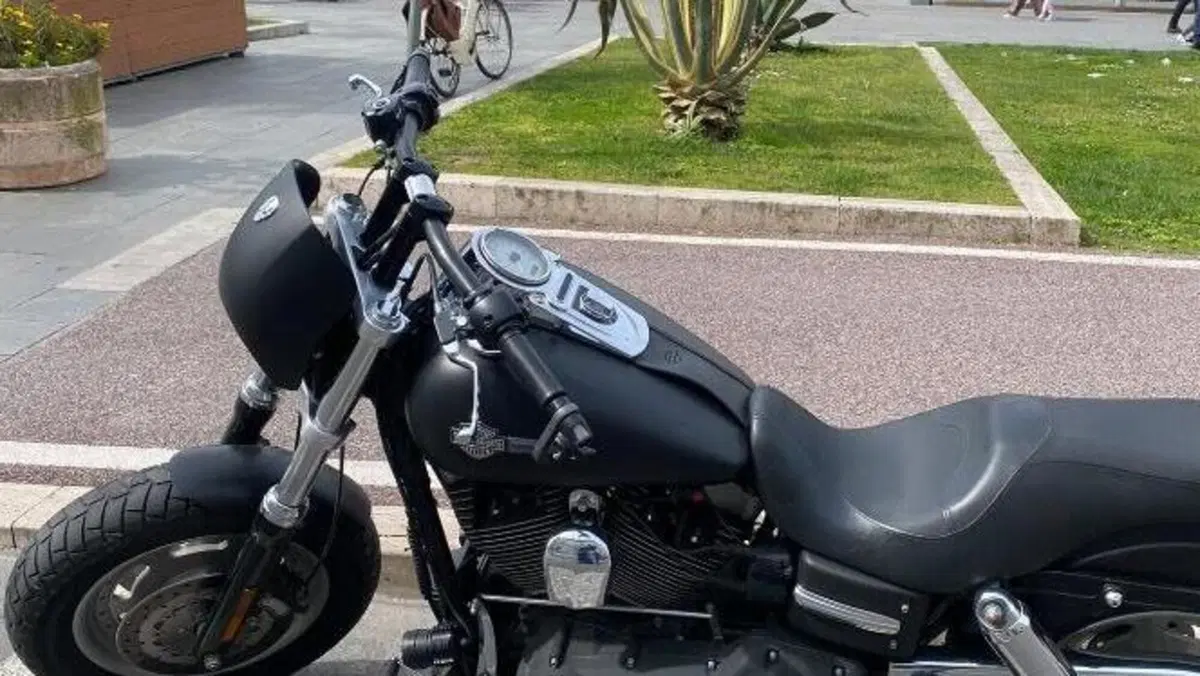 Harley-Davidson 1584 Fat Bob (2007 - 13) - FXDF  (6)