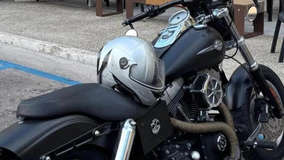 Harley-Davidson 1584 Fat Bob (2007 - 13) - FXDF  (7)