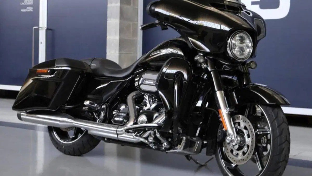 Harley-Davidson 110 Street Glide (2016) - FLHXSE  (2)