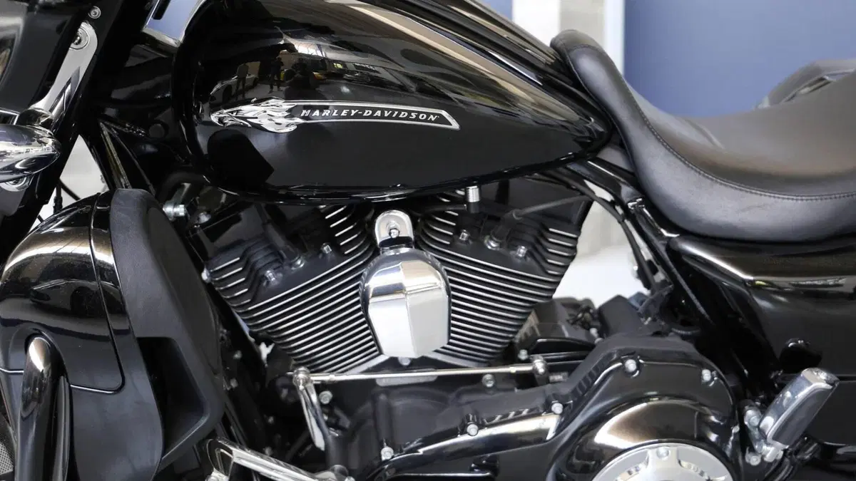 Harley-Davidson 110 Street Glide (2016) - FLHXSE  (5)