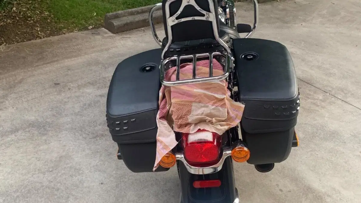 Harley-Davidson Heritage Classic (2021 - 24)  (4)