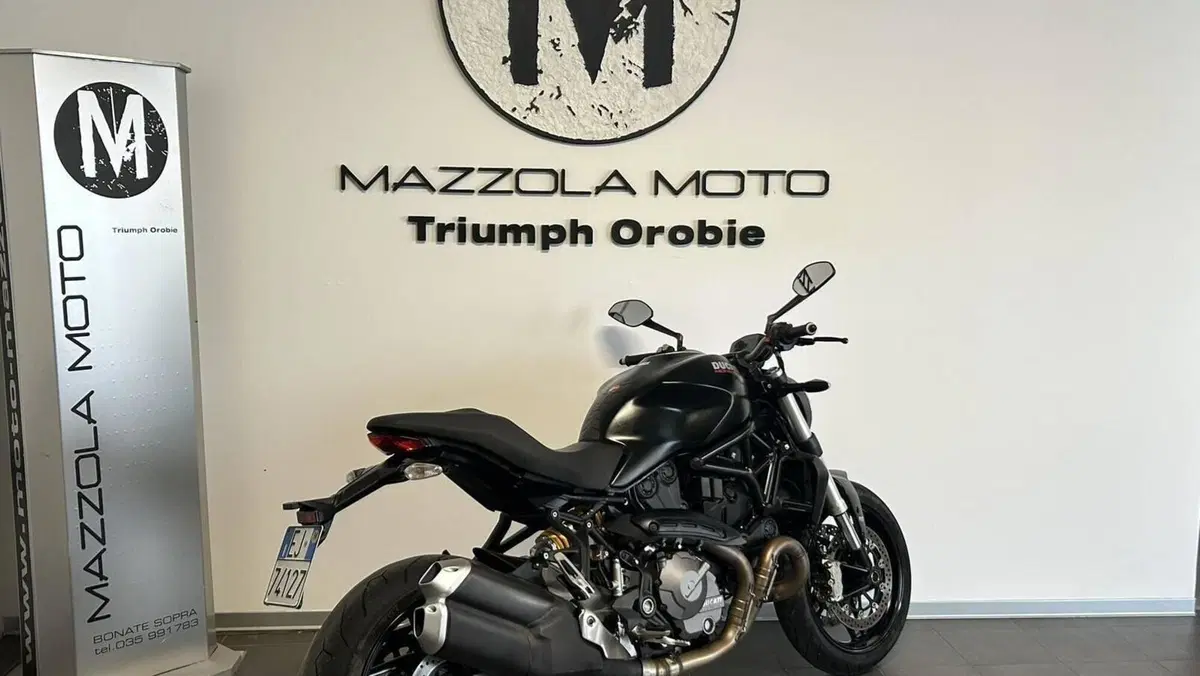 Ducati Monster 821 (2018 - 20)  (2)