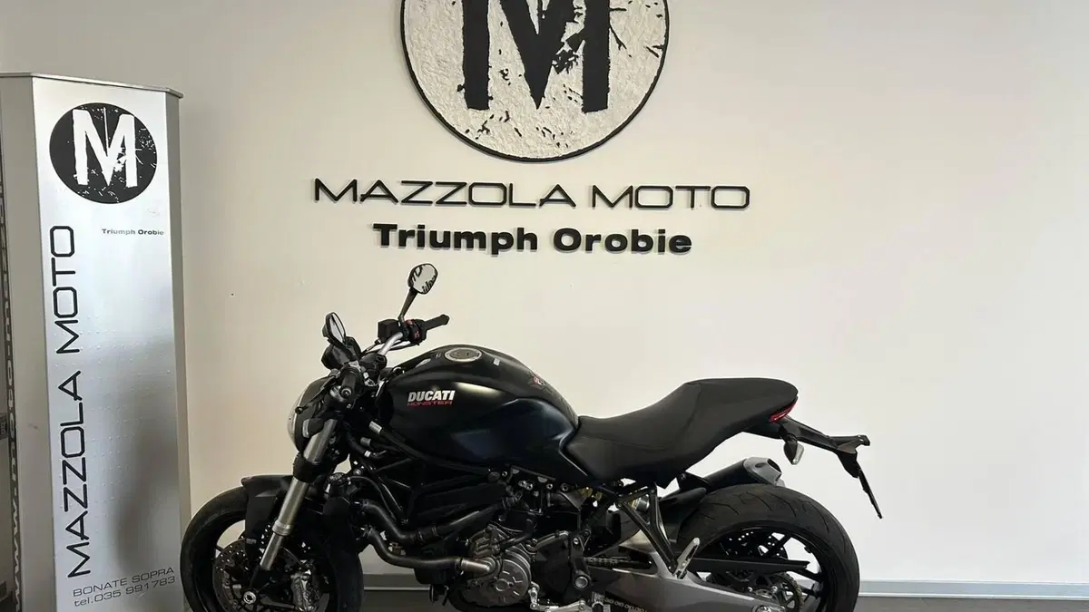Ducati Monster 821 (2018 - 20)  (3)
