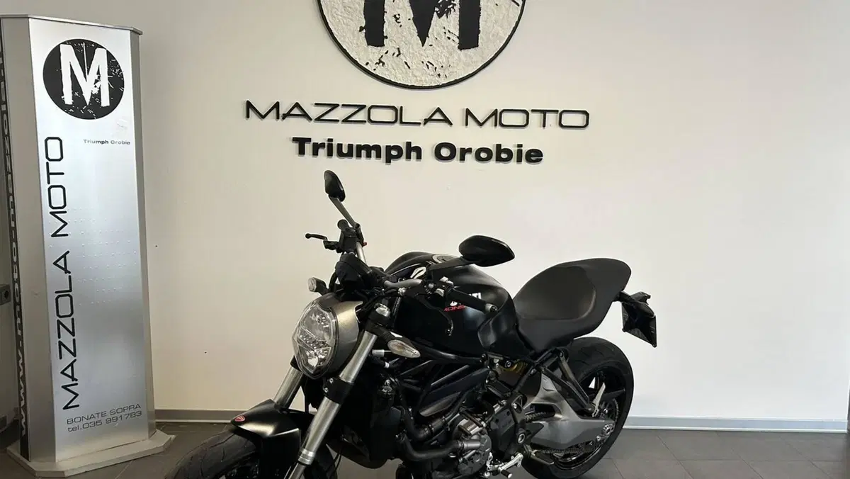 Ducati Monster 821 (2018 - 20)  (4)