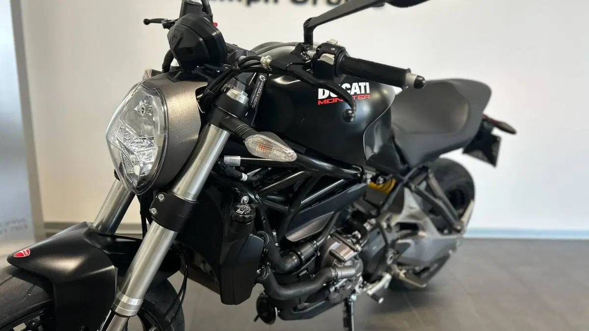 Ducati Monster 821 (2018 - 20)  (6)