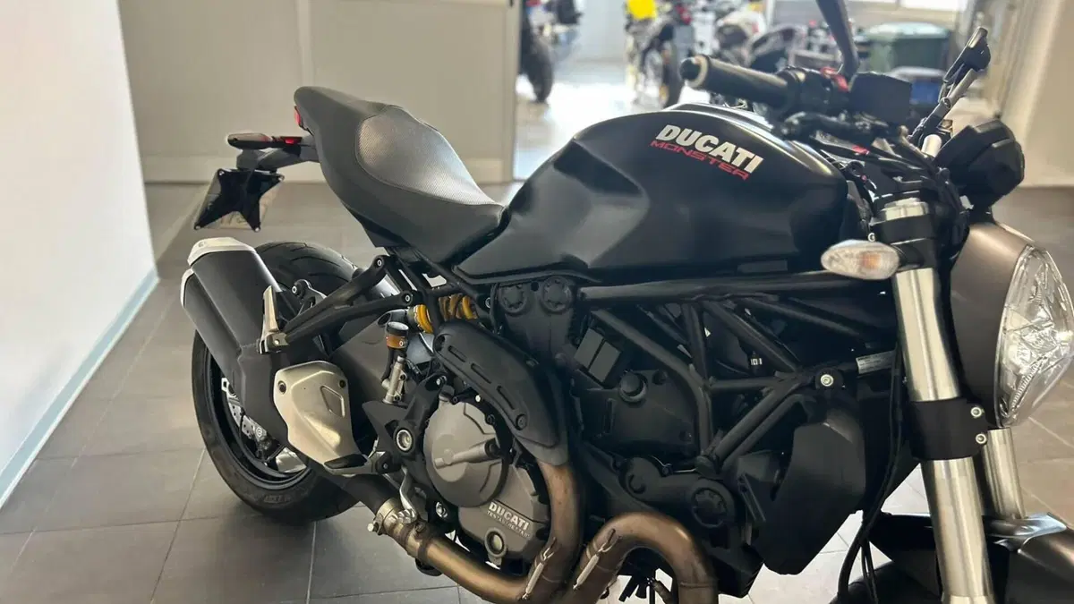 Ducati Monster 821 (2018 - 20)  (7)