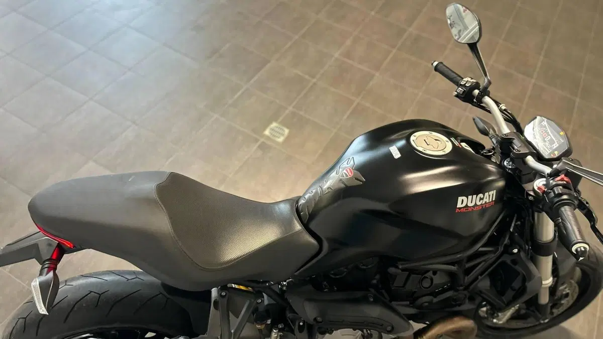 Ducati Monster 821 (2018 - 20)  (8)