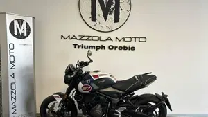 Triumph Trident 660 Triple Tribute Edition (2024)  (3)