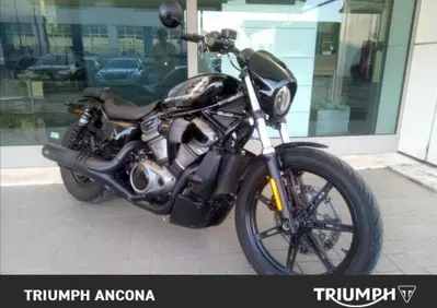 Harley-Davidson Nightster (2023 - 26) - Annuncio 10049188