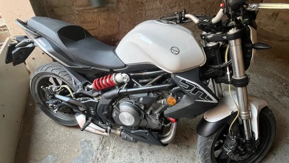 Benelli BN 302 (2014 - 16)  (4)