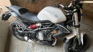 Benelli BN 302 (2014 - 16)  (4)