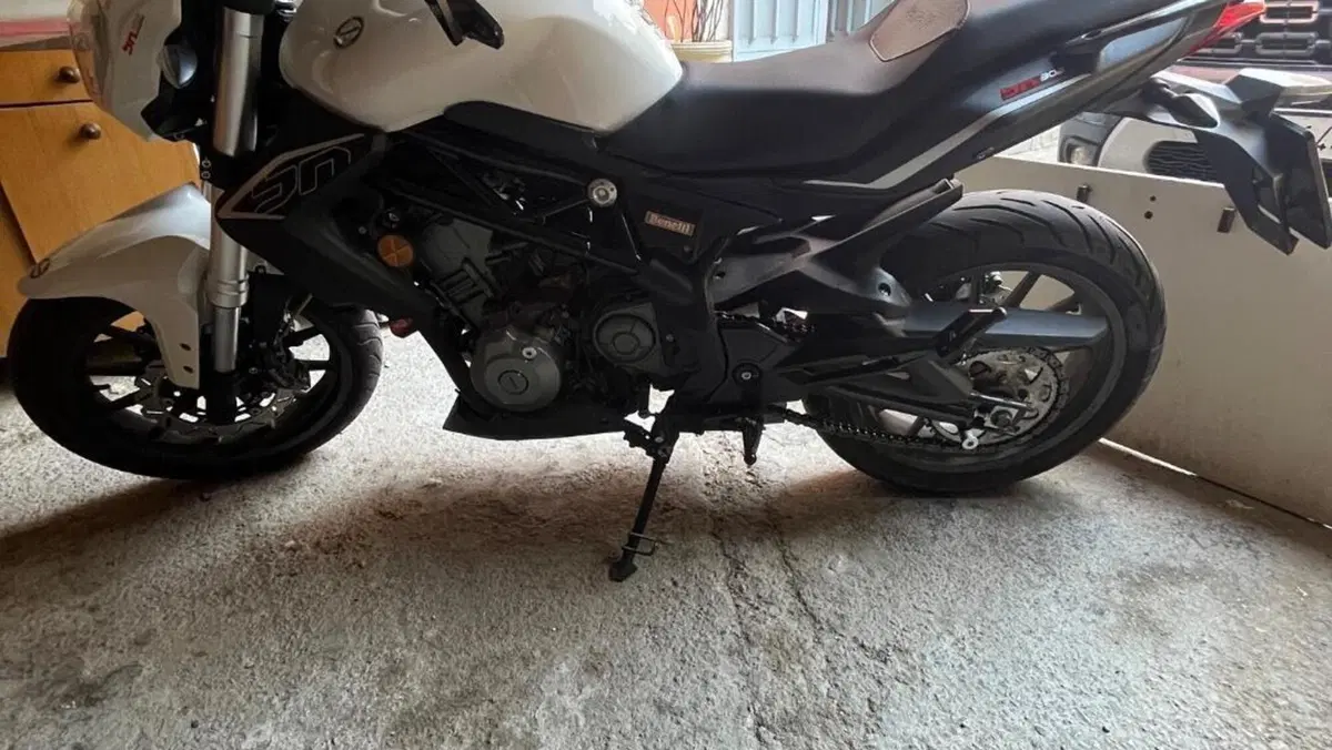 Benelli BN 302 (2014 - 16)  (7)
