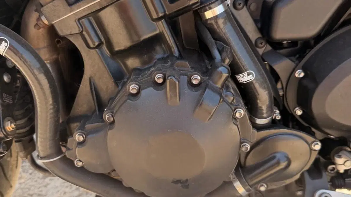 Triumph Speed Triple 1050 (2011 - 13)  (10)