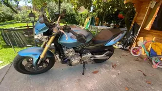 Honda Hornet 600 (2005 - 06) usata