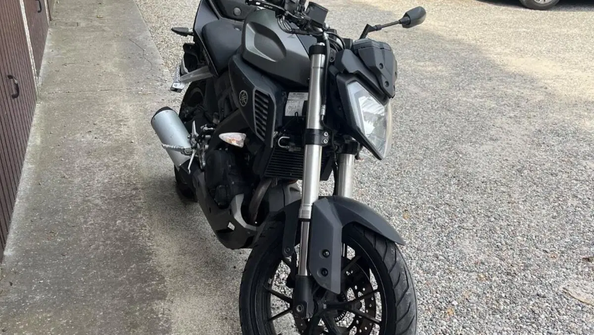 Yamaha MT-125 ABS (2015 - 16)  (4)
