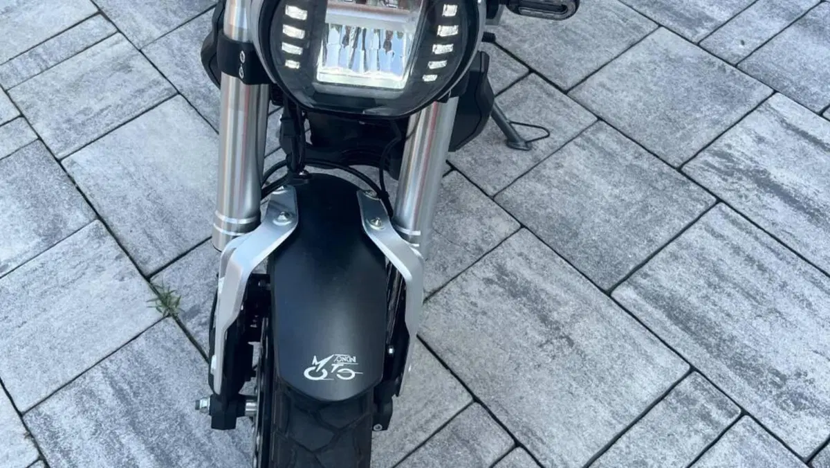 Voge Trofeo 300ACX Scrambler (2021 - 26)  (3)