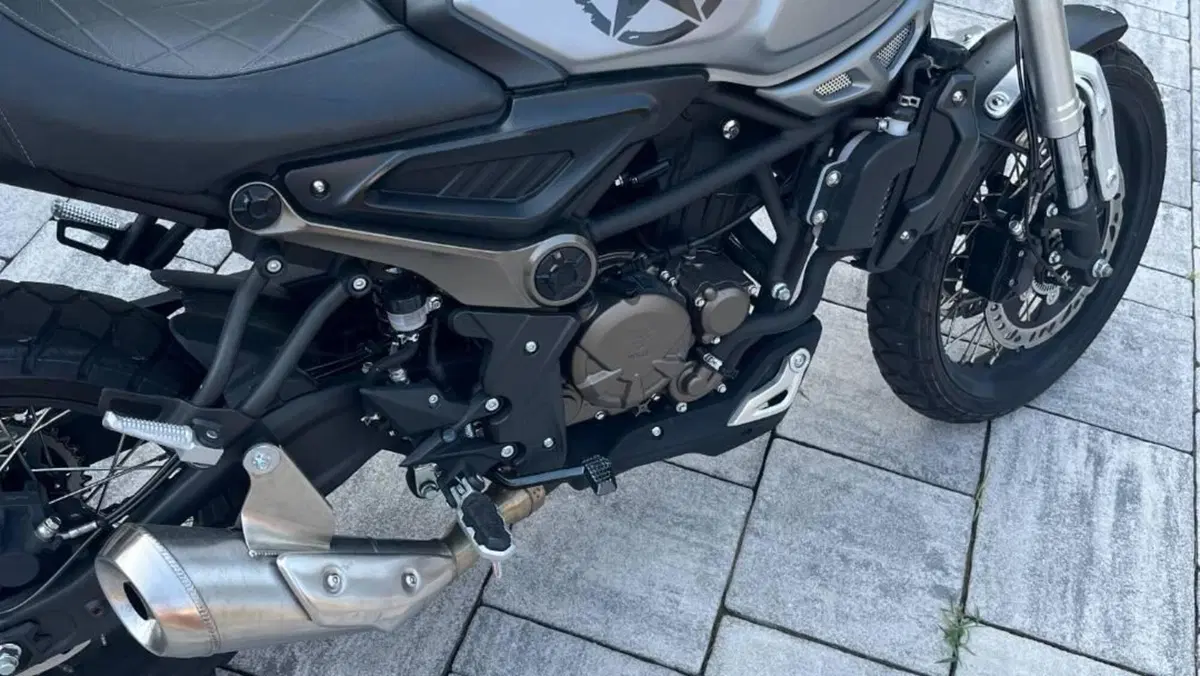 Voge Trofeo 300ACX Scrambler (2021 - 26)  (5)