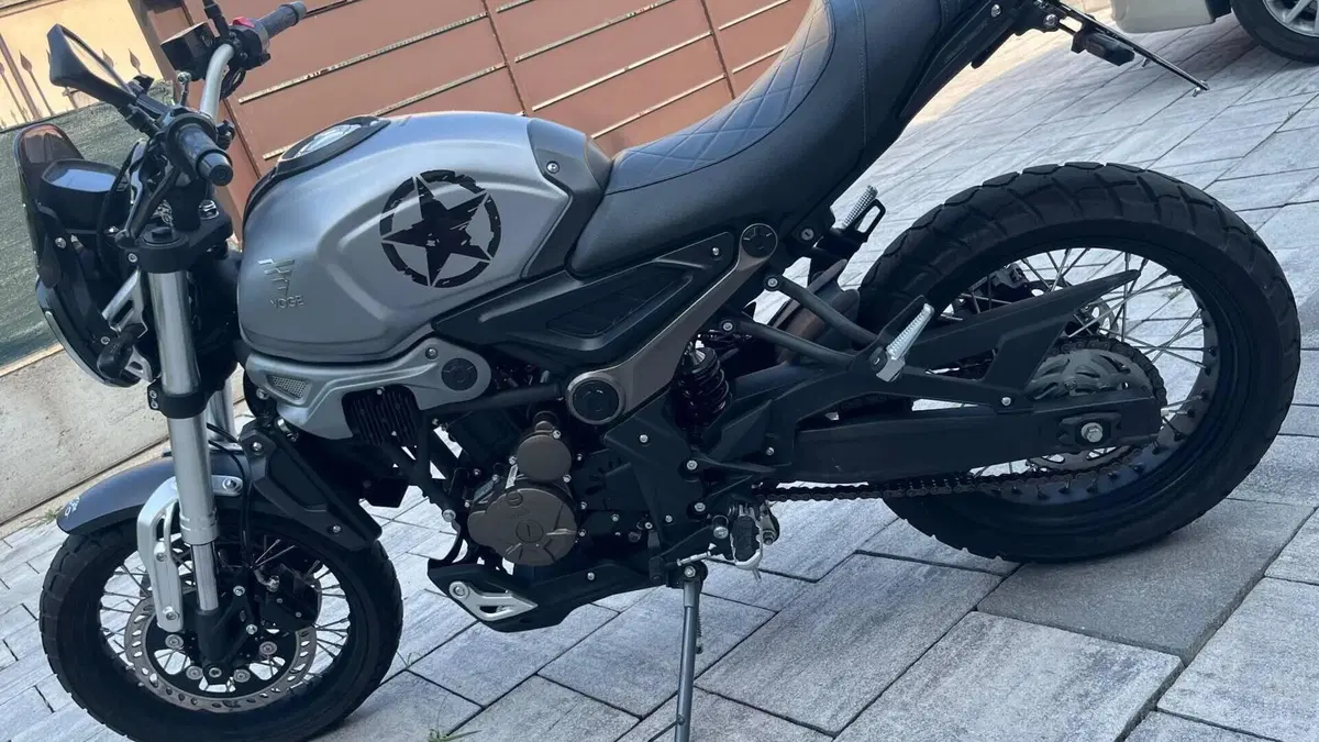 Voge Trofeo 300ACX Scrambler (2021 - 26)  (2)