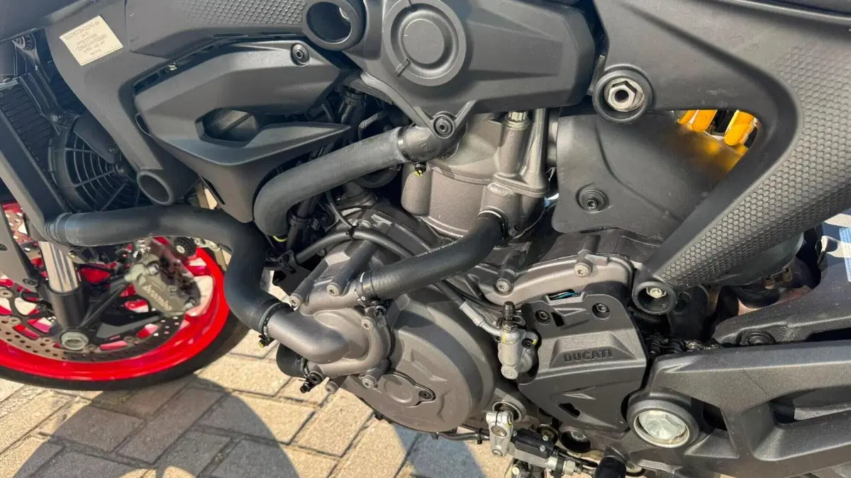 Ducati Monster 937 + (2021 - 25)  (9)