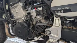 Fantic Motor Caballero 500 Scrambler Deluxe (2021 - 23)  (6)