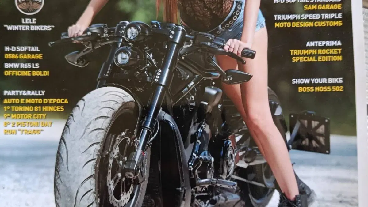 Harley-Davidson 883 (2006 - 07) - XL  (7)