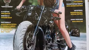 Harley-Davidson 883 (2006 - 07) - XL  (7)