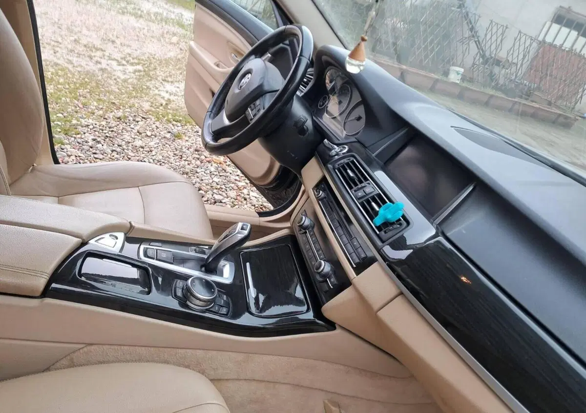 BMW Serie 5 Touring 520d  Luxury (8)