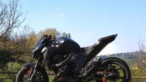 Kawasaki Z 800 e ABS (2012 - 16)  (2)