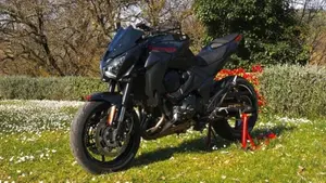 Kawasaki Z 800 e ABS (2012 - 16)  (3)