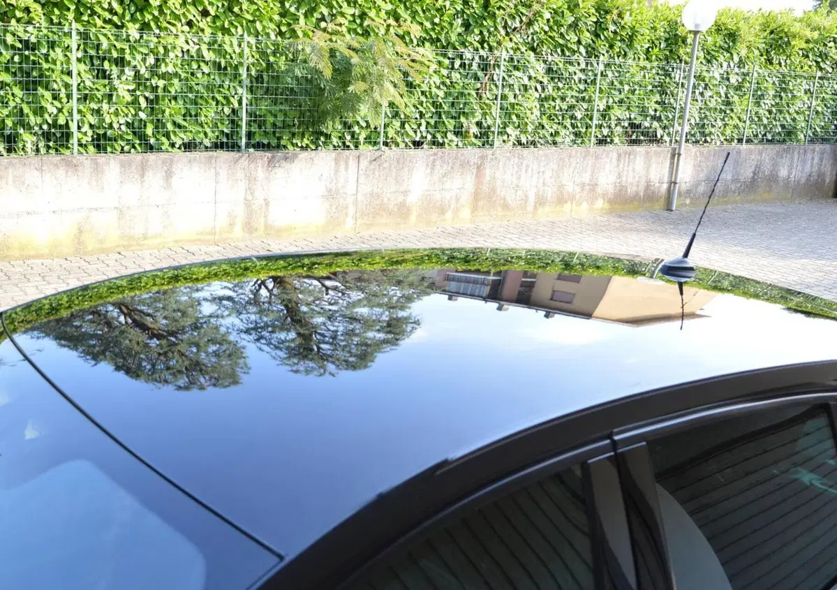 Renault Mégane 1.5 dCi 110CV EDC GT Line (7)
