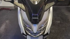Honda Forza 300 ABS (2018 - 20) 