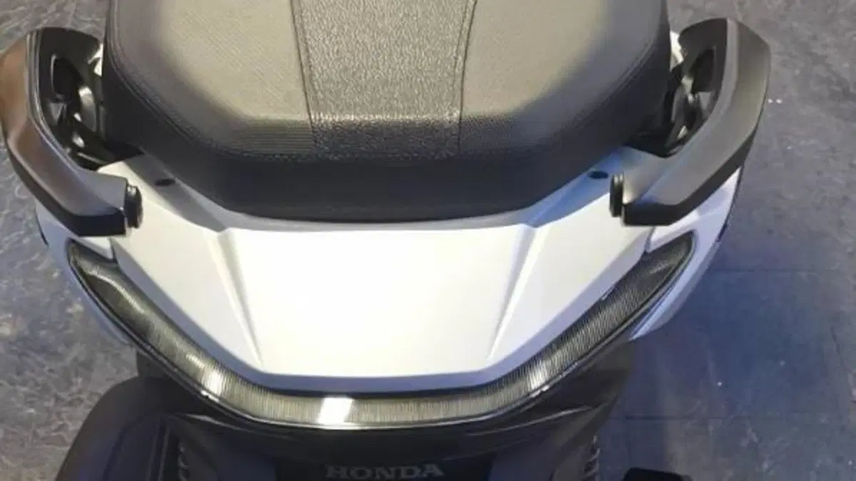 Honda Forza 300 ABS (2018 - 20)  (4)