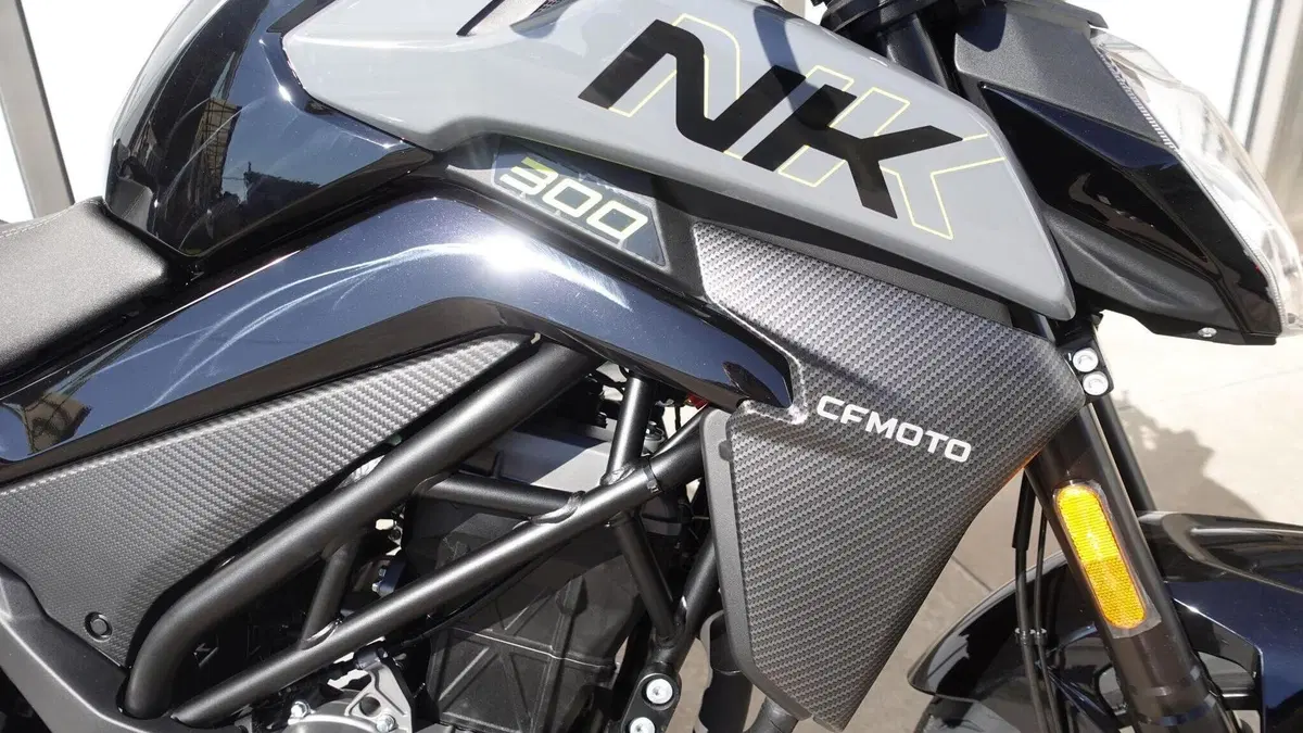 CFMOTO 300NK (2021 - 26)  (4)